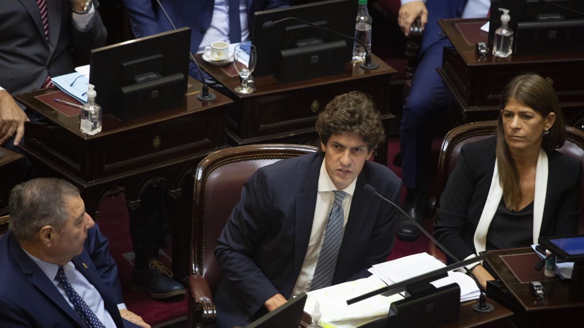 Martín Lousteau durante el debate por el acuerdo con el FMI en el Senado. (Télam)