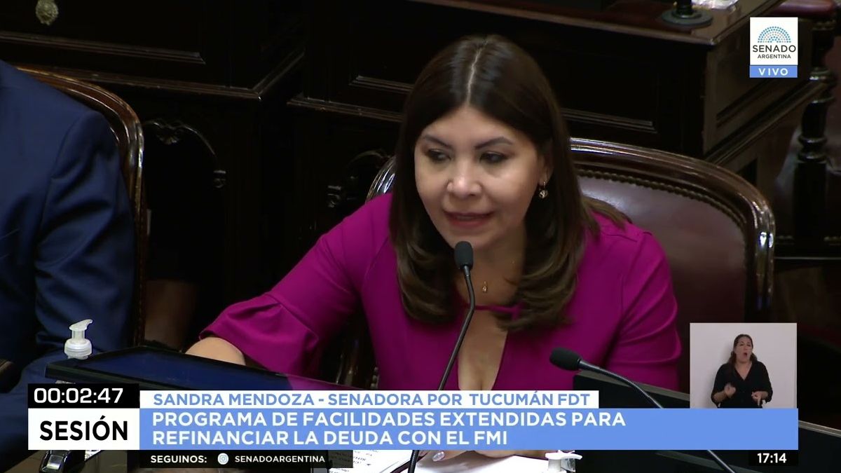 La senadora Sandra Mendoza en su discurso sobre el ecuerdo con el FMI.