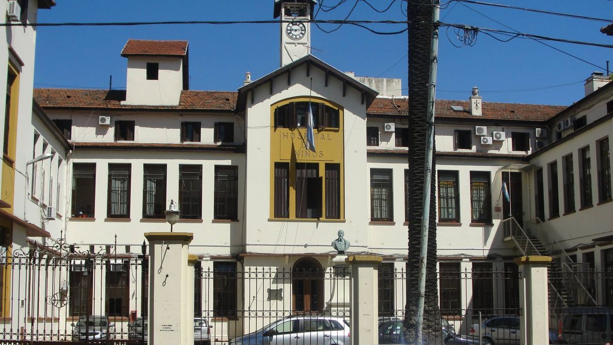 Un médico de guardia fue brutalmente golpeado tras comunicar la muerte de una niña a la madre (Foto: Buenos AIres Ciudad).
