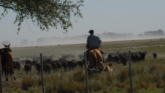El Renatre extiende la atención remota hasta el 10 de mayo
