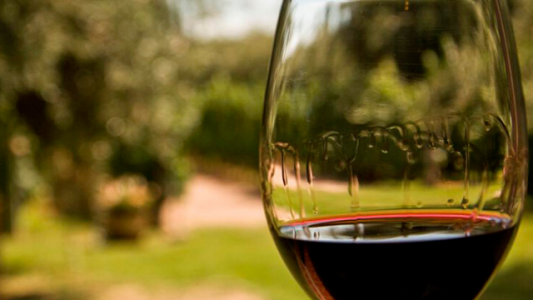 A pesar de la pandemia, crecen las ventas de vino en el mercado interno y la exportación