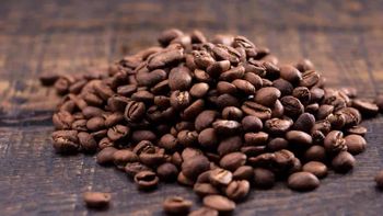 Retiran del mercado siete cafés por graves irregularidades sanitarias