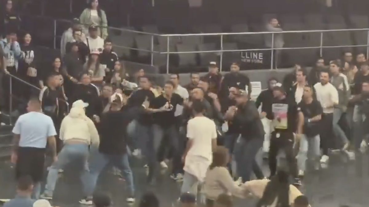 Una imagen de los graves incidentes ocurridos en el recital de Damas Gratis (Foto: captura de video).
