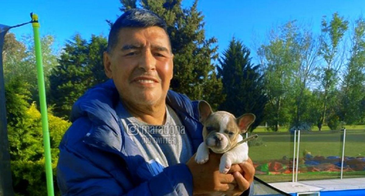 La furia de las hermanas Maradona con el informe de la Junta Médica