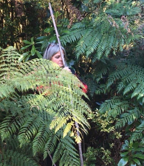 Baños de Bosque: el furor por los paseos en la naturaleza como medicina preventiva del estrés