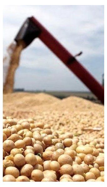 El campo se apura a liquidar ante la incertidumbre por un posible aumento de retenciones