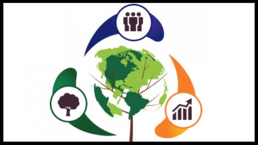 En el día del reciclaje, ¿cómo funciona el Sistema B y cuáles son las compañías argentinas que generan un triple impacto?