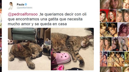 Paula le avisó a Pedro por Twitter que hay una nueva integrante en la familia