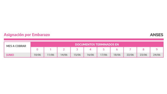 Anses: Ya está publicado el calendario de pagos para Junio 2021