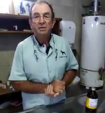 Repudian a veterinario que promueve el uso de un antibiótico exclusivo para animales, contra el Coronavirus