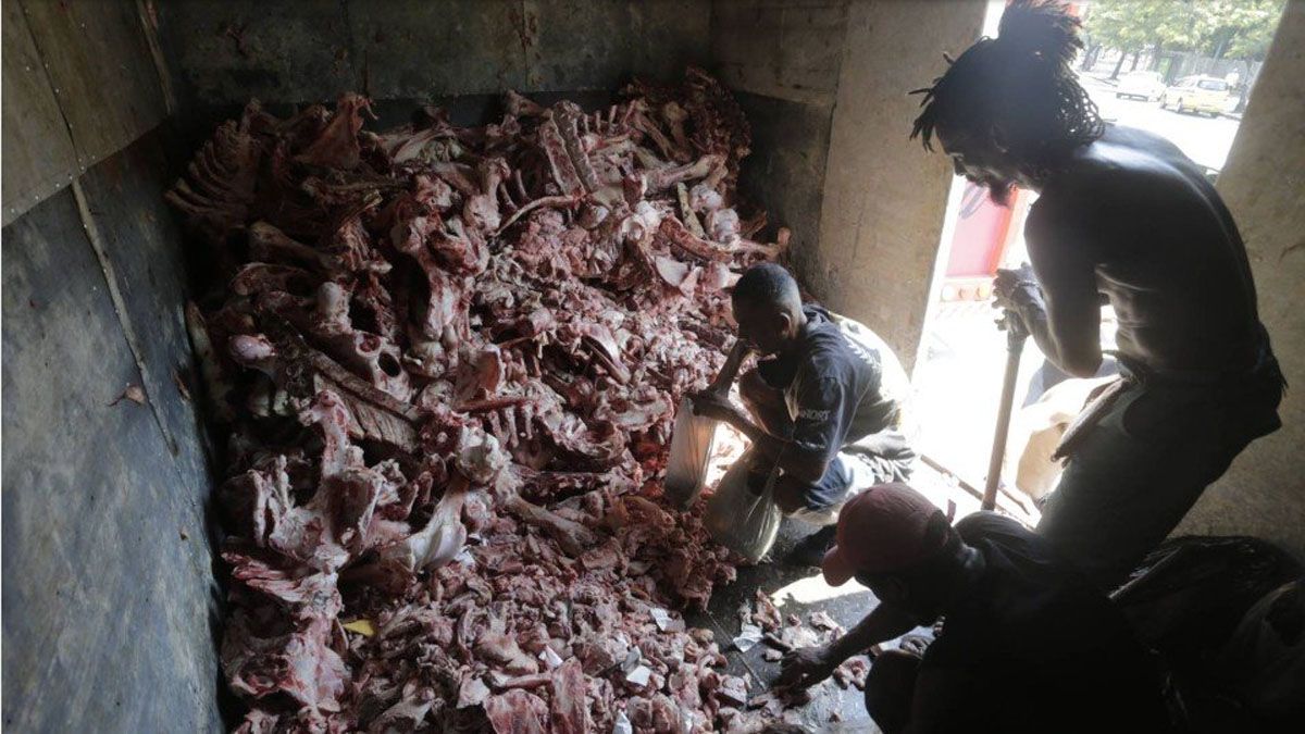 Los desechos de carne de los supermercados de Río antes alimentaban a los perros. Ahora
