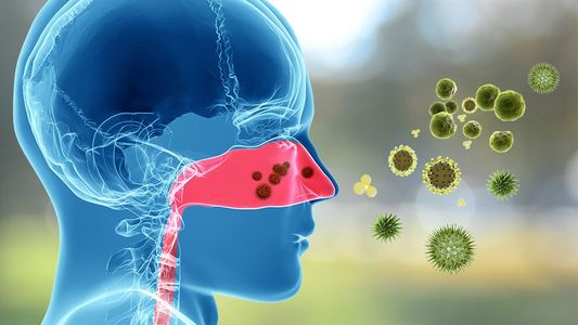 Alergias: qué son, causas y tratamiento