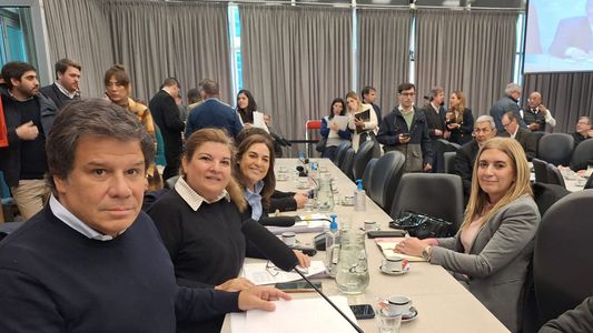 El proyecto de Facundo Manes sobre Alzheimer obtuvo dictamen y se tratará en la próxima sesión