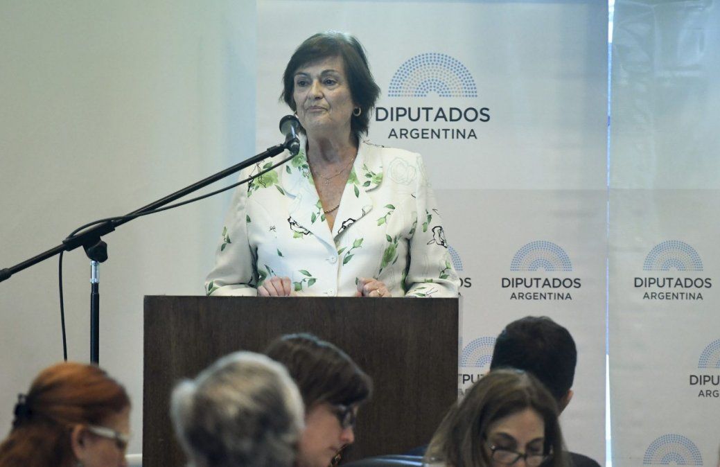 La gestación y los derechos del niño, clave en las exposiciones en contra del aborto