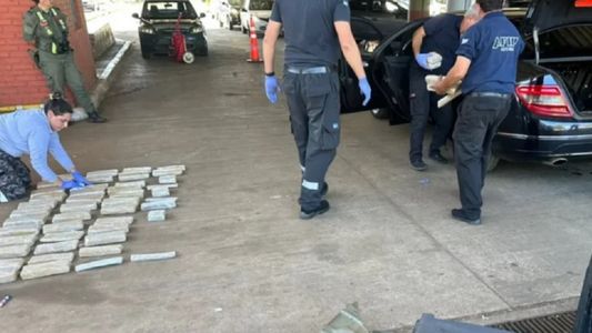 Un perro descubrió un cargamento de marihuana valuado en 33 millones de pesos dentro de un auto