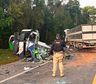 Tragedia: un colectivo que llevaba pacientes chocó de frente con un camión y murieron 23 personas