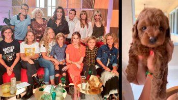 Maru Botana recibió el repudio de protectores de animales por sus dichos sobre los perros