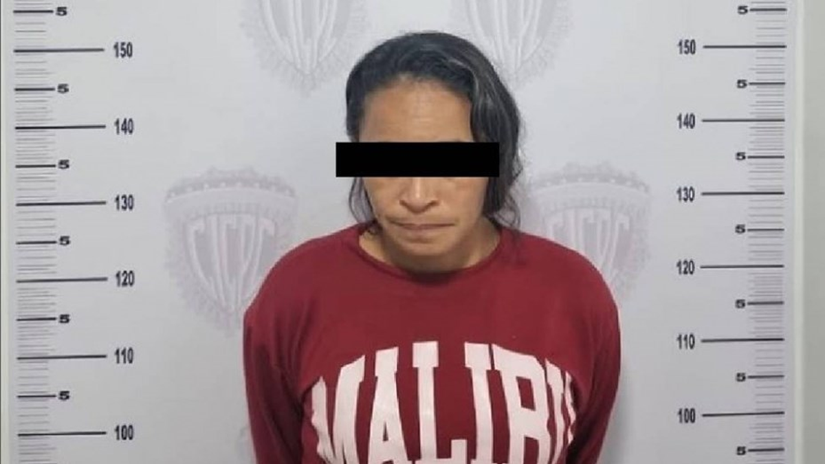 Intent&oacute; vender un ri&ntilde;&oacute;n por Facebook: Ped&iacute;a una fortuna pero termin&oacute; presa&nbsp;
