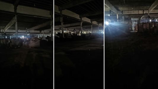 Video paranormal: los escalofriantes gritos en un mercado que paralizaron a un empleado