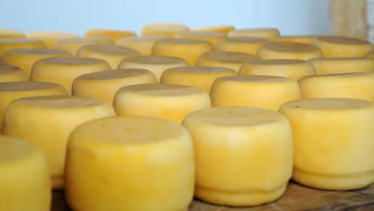 Alertan por el brote en el país de una enfermedad vinculada al consumo de un queso criollo
