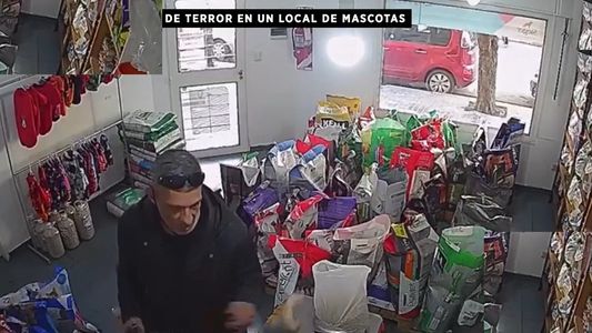 Video | Terror en una tienda de mascotas de Córdoba: un ladrón golpeó brutalmente a una vendedora