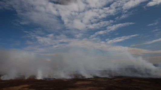 Los motivos de las quemas de pastizales en el delta del Paraná y por qué fue declarada zona crítica
