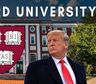 Harvard vs. Trump: la batalla cultural entre la universidad y el presidente por US$2.000 millones