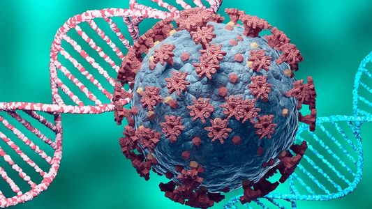 Coronavirus: de Alfa a Ómicron, qué características tienen las variantes de preocupación