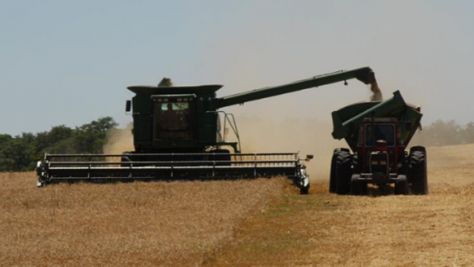 Por la caída de rentabilidad de la soja, plantean que la producción del Norte está en jaque