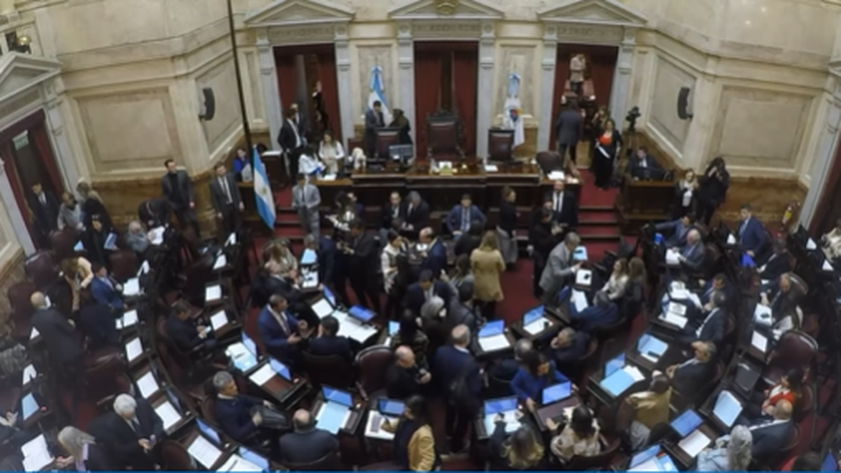Se pasó para la próxima semana la sesión del Senado que buscaba tratar financiamiento universitario