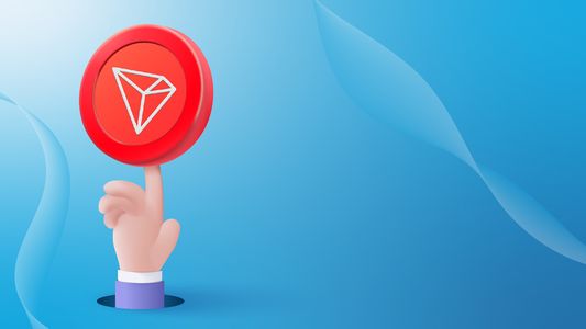 Stablecoins: cuál es el dólar digital preferido por los argentinos para exportar servicios