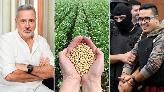 Marcelo Saín vinculó a la soja con el narcotráfico y Los Monos