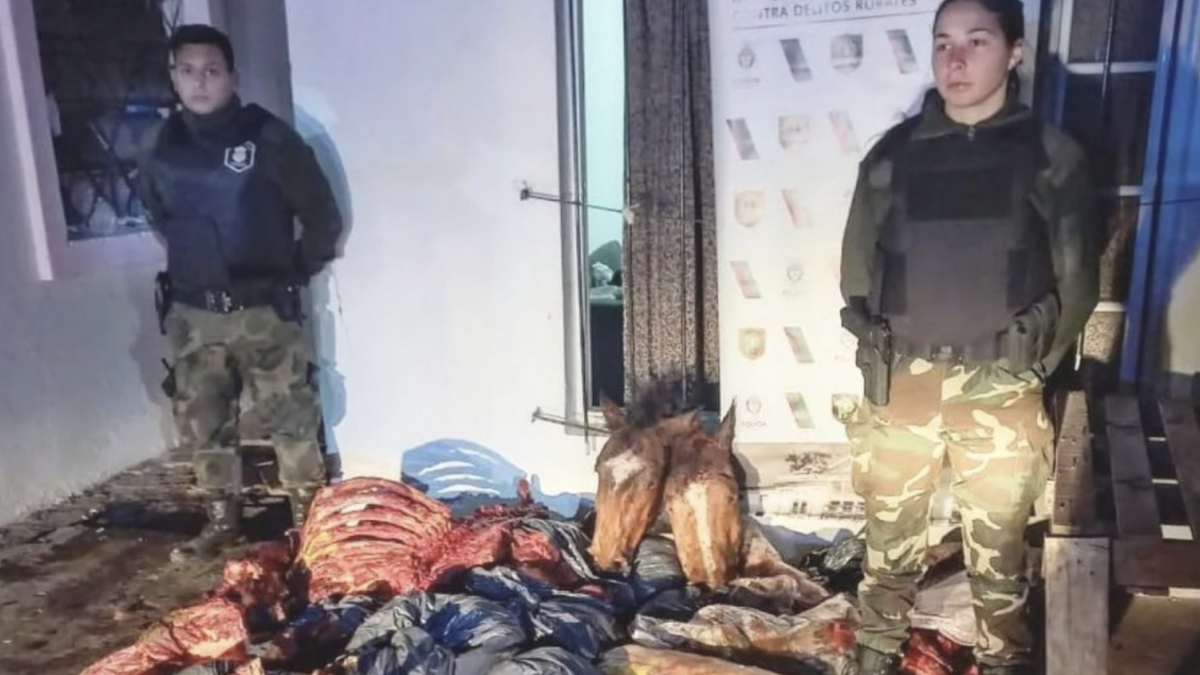 El matadero funcionaba en un casa en La Matanza. Foto: Centro de Rescate y Rehabilitación Equino (CRRE)