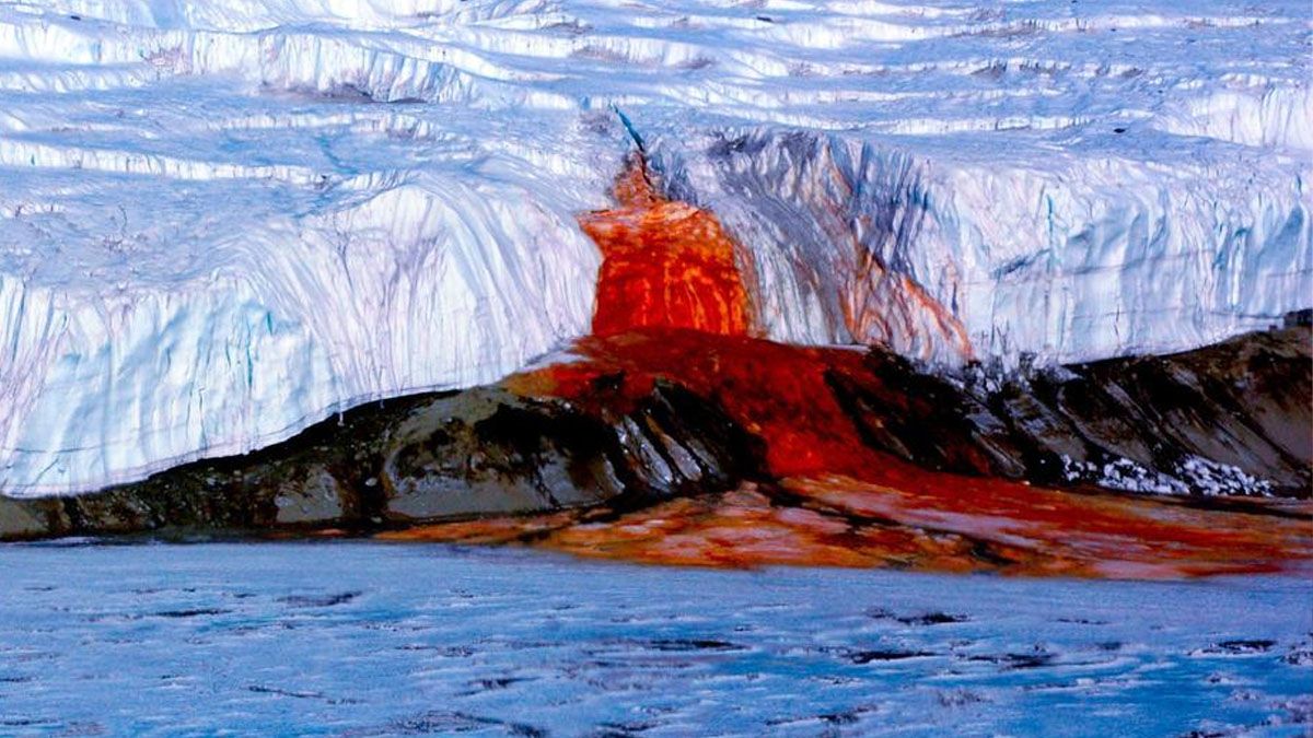Las cataratas de sangre bañan el mar antártico. Un misterio que tardó 100 años en comprenderse (Foto: captura de TV).