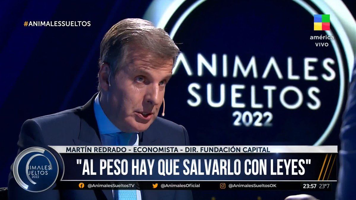 Martín Redrado en Animales Sueltos: Están devaluando en cuotas (Foto; captura América TV).