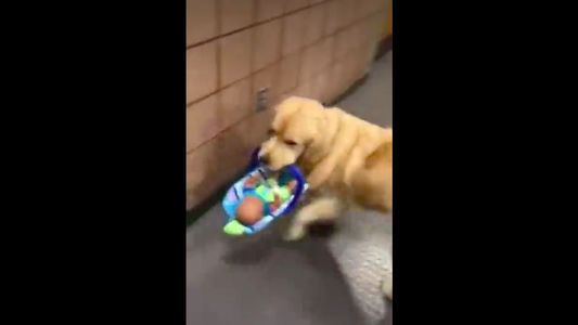 Descubrieron quién robaba juguetes de Navidad de una comisaría