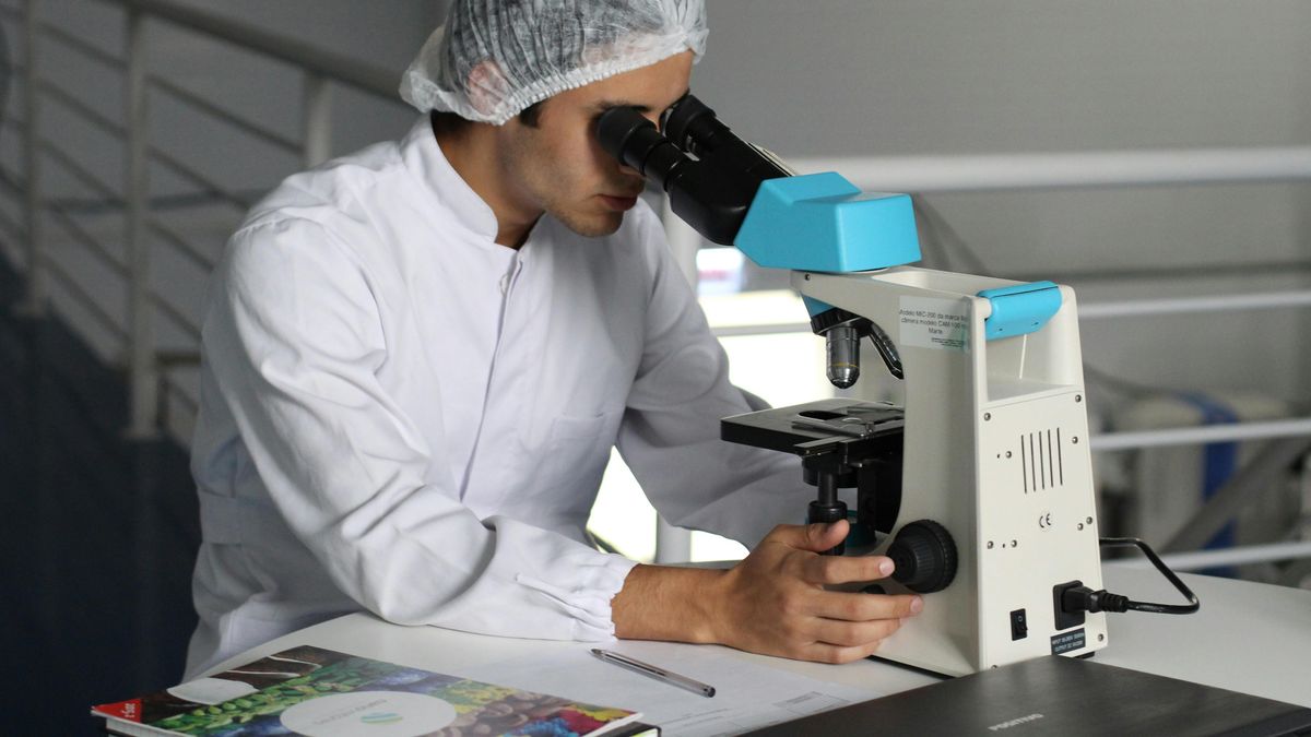 Día Mundial de la Salud: por qué se celebra