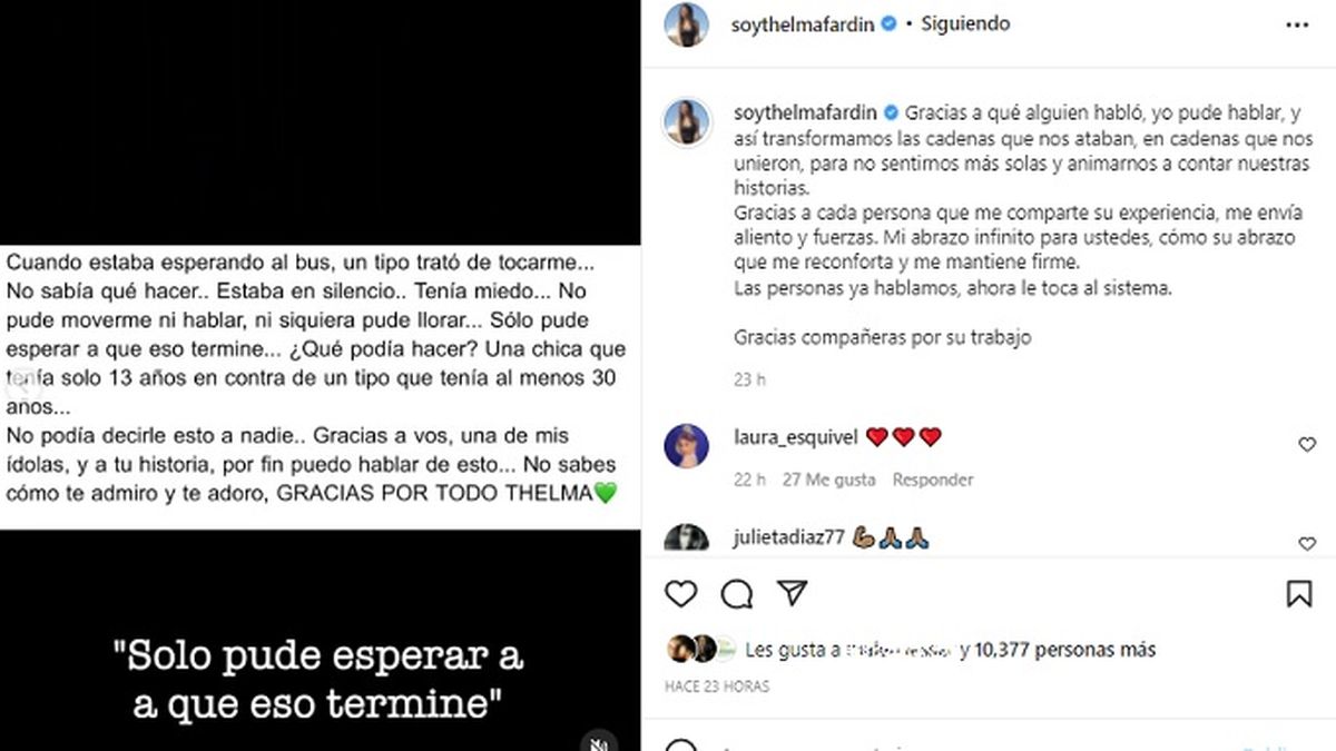 El mensaje de Thelma Fardin en las redes sociales el d&iacute;a que la justicia brasile&ntilde;a reanud&oacute; el juicio contra Juan Darth&eacute;s.&nbsp;