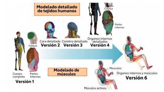 Los ‘dummies’ virtuales (THUMS) de Toyota cumplen 20 años trabajando por la seguridad