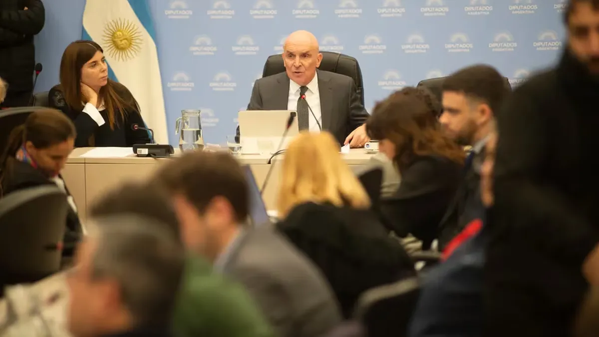José Luis Espert en el plenario de comisiones de Presupuesto y Finanzas (Fotos: Infobae)