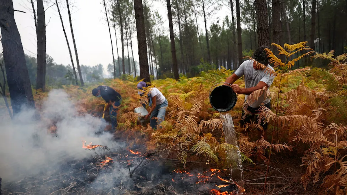 Incendio en Francia. (Foto: Reuters)