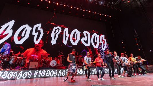 Los Piojos en River: se reprograma el show y ya hay nueva fecha, entradas, precios y más