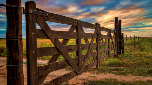 Consultorio impositivo: Alquileres rurales y el impuesto de Sellos