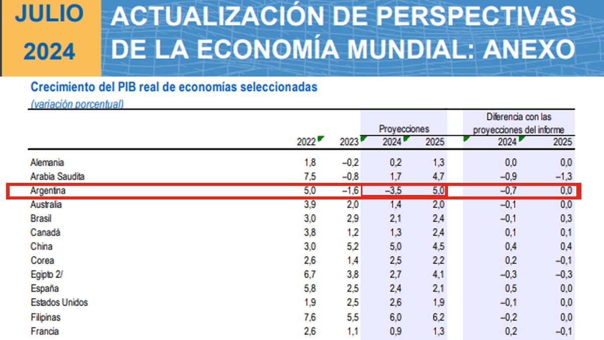 La Argentina tendrá una caída mayor de la esperada en este 2024, según el último informe de l FMI. (Foto: FMI)