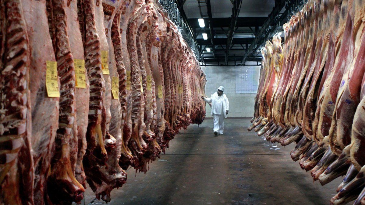La carne vacuna tuvo el peor trimestre en 18 años con los volúmenes al mercado interno.&nbsp;
