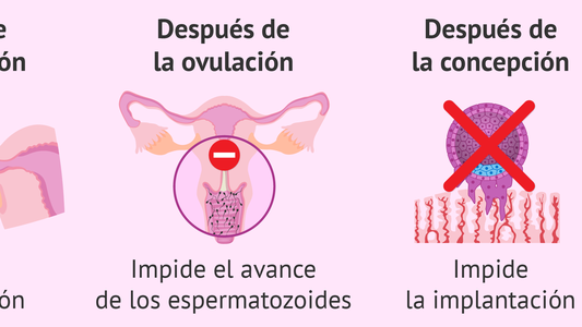 Cómo funciona la pastilla del día después