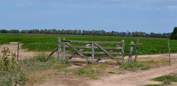 Con una baja de valores, se reactivó la actividad inmobiliaria rural