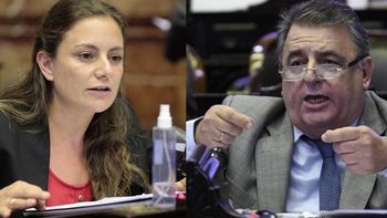 Juicio a la Corte: una diputada del Frente de Todos tildó a Mario Negri de machirulo