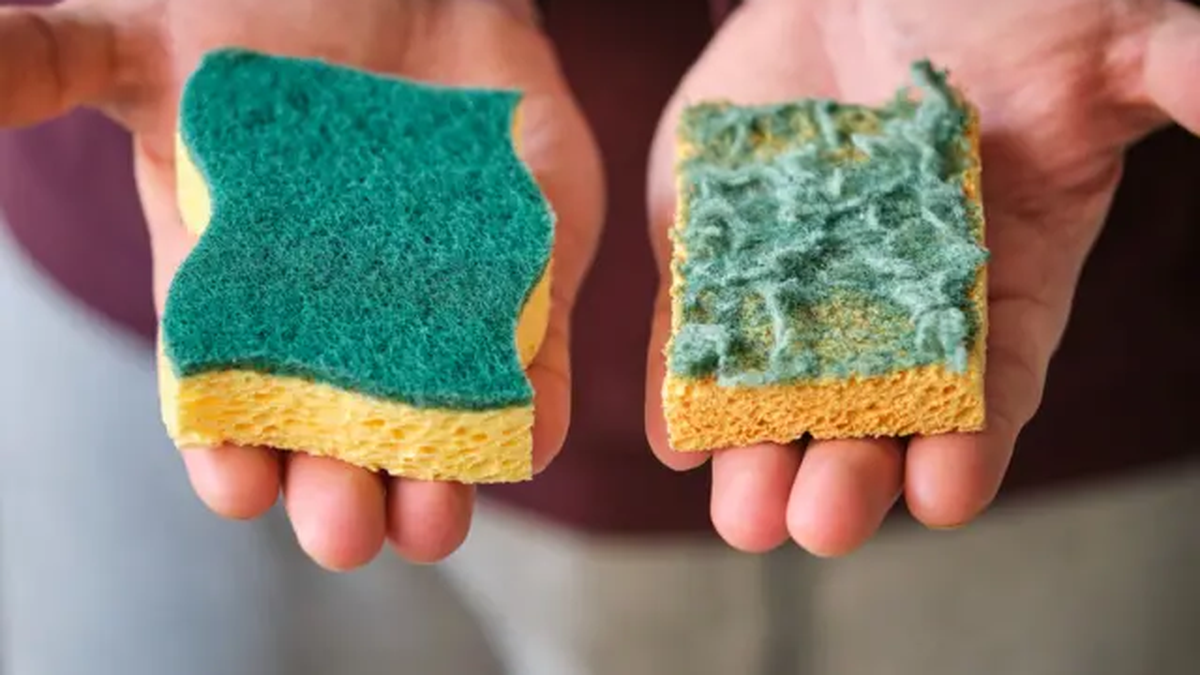 La esponja de cocina puede albergar miles de millones de bacterias y convertirse en un foco de contaminación. Con simples cuidados y métodos de desinfección