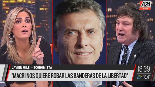 Macri es un delincuente: el tenso cruce entre Javier Milei y Viviana Canosa